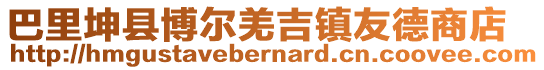 巴里坤縣博爾羌吉鎮友德商店