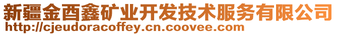 新疆金酉鑫礦業(yè)開發(fā)技術(shù)服務(wù)有限公司