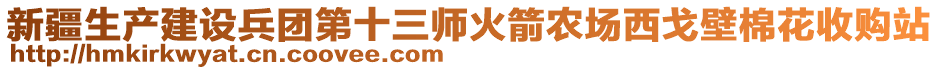 新疆生產(chǎn)建設(shè)兵團(tuán)第十三師火箭農(nóng)場(chǎng)西戈壁棉花收購(gòu)站