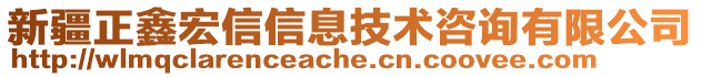 新疆正鑫宏信信息技術咨詢有限公司