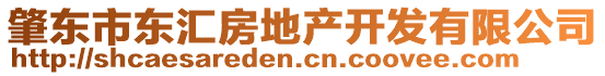 肇東市東匯房地產(chǎn)開發(fā)有限公司