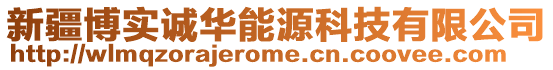 新疆博實(shí)誠(chéng)華能源科技有限公司