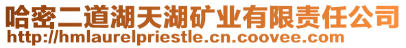 哈密二道湖天湖礦業(yè)有限責任公司