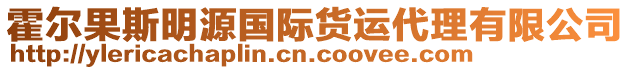 霍爾果斯明源國際貨運代理有限公司