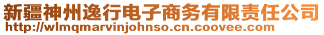 新疆神州逸行電子商務(wù)有限責任公司