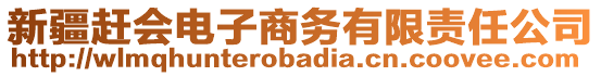 新疆趕會電子商務(wù)有限責(zé)任公司