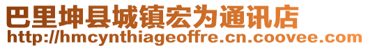 巴里坤縣城鎮(zhèn)宏為通訊店