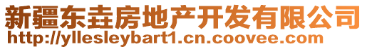 新疆東垚房地產(chǎn)開(kāi)發(fā)有限公司