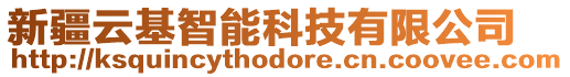 新疆云基智能科技有限公司