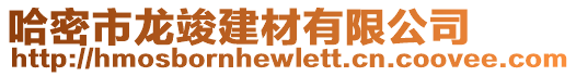 哈密市龍竣建材有限公司