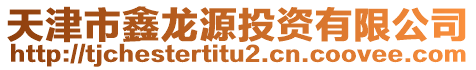 天津市鑫龍源投資有限公司