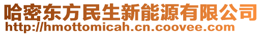 哈密東方民生新能源有限公司