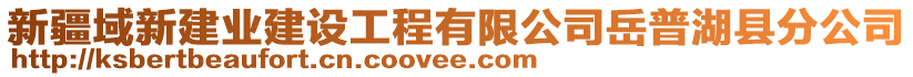 新疆域新建業(yè)建設(shè)工程有限公司岳普湖縣分公司