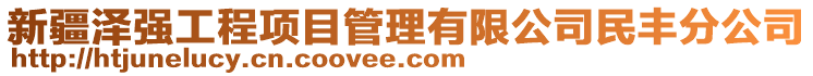 新疆澤強(qiáng)工程項(xiàng)目管理有限公司民豐分公司