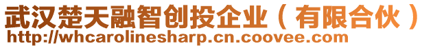 武漢楚天融智創(chuàng)投企業(yè)（有限合伙）