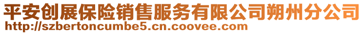 平安創(chuàng)展保險銷售服務有限公司朔州分公司