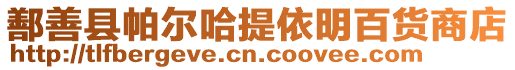 鄯善縣帕爾哈提依明百貨商店