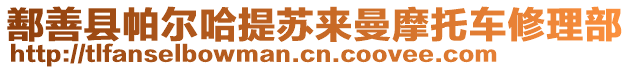 鄯善縣帕爾哈提蘇來(lái)曼摩托車修理部