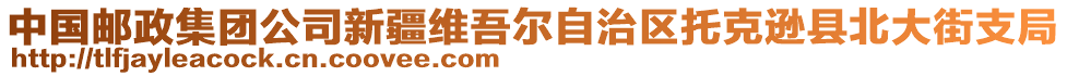 中國(guó)郵政集團(tuán)公司新疆維吾爾自治區(qū)托克遜縣北大街支局