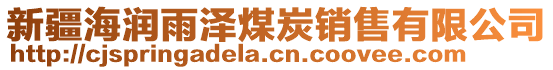 新疆海潤(rùn)雨澤煤炭銷售有限公司