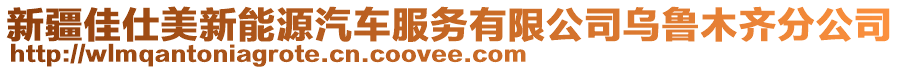 新疆佳仕美新能源汽車服務有限公司烏魯木齊分公司