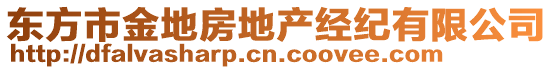 東方市金地房地產(chǎn)經(jīng)紀(jì)有限公司