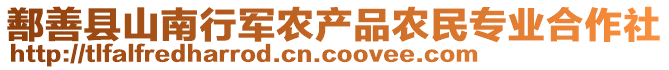 鄯善縣山南行軍農產品農民專業合作社