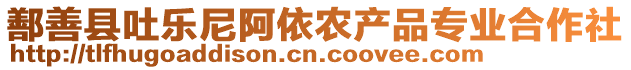 鄯善縣吐樂尼阿依農產品專業合作社