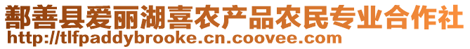 鄯善縣愛麗湖喜農(nóng)產(chǎn)品農(nóng)民專業(yè)合作社