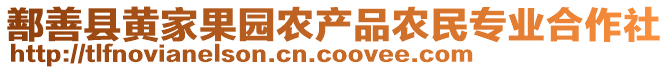 鄯善縣黃家果園農(nóng)產(chǎn)品農(nóng)民專業(yè)合作社