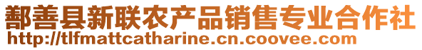 鄯善縣新聯(lián)農(nóng)產(chǎn)品銷售專業(yè)合作社