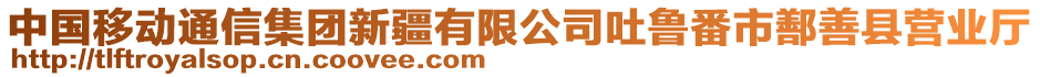 中國移動通信集團(tuán)新疆有限公司吐魯番市鄯善縣營業(yè)廳