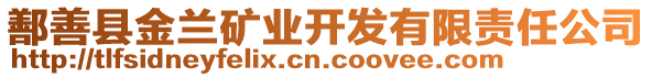 鄯善縣金蘭礦業(yè)開(kāi)發(fā)有限責(zé)任公司