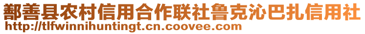 鄯善縣農(nóng)村信用合作聯(lián)社魯克沁巴扎信用社