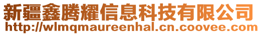 新疆鑫騰耀信息科技有限公司