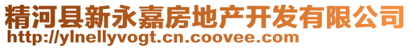 精河縣新永嘉房地產(chǎn)開(kāi)發(fā)有限公司