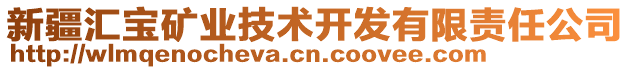 新疆匯寶礦業(yè)技術(shù)開發(fā)有限責(zé)任公司