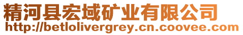 精河縣宏域礦業(yè)有限公司