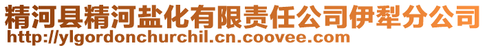 精河縣精河鹽化有限責任公司伊犁分公司