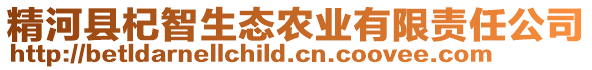 精河縣杞智生態(tài)農(nóng)業(yè)有限責(zé)任公司