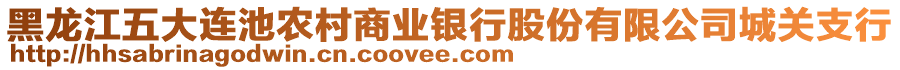 黑龍江五大連池農(nóng)村商業(yè)銀行股份有限公司城關(guān)支行