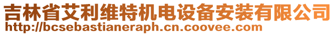 吉林省艾利維特機(jī)電設(shè)備安裝有限公司