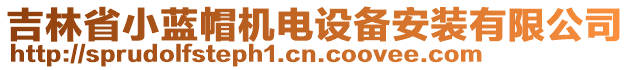 吉林省小藍(lán)帽機(jī)電設(shè)備安裝有限公司