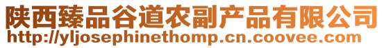 陜西臻品谷道農(nóng)副產(chǎn)品有限公司