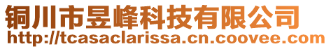 銅川市昱峰科技有限公司