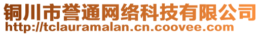 銅川市譽通網絡科技有限公司