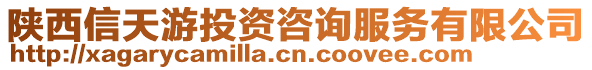 陜西信天游投資咨詢服務有限公司