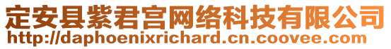 定安縣紫君宮網(wǎng)絡(luò)科技有限公司