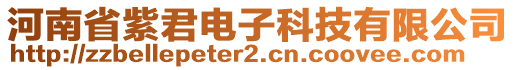 河南省紫君電子科技有限公司