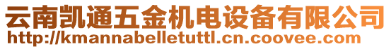 云南凱通五金機電設備有限公司